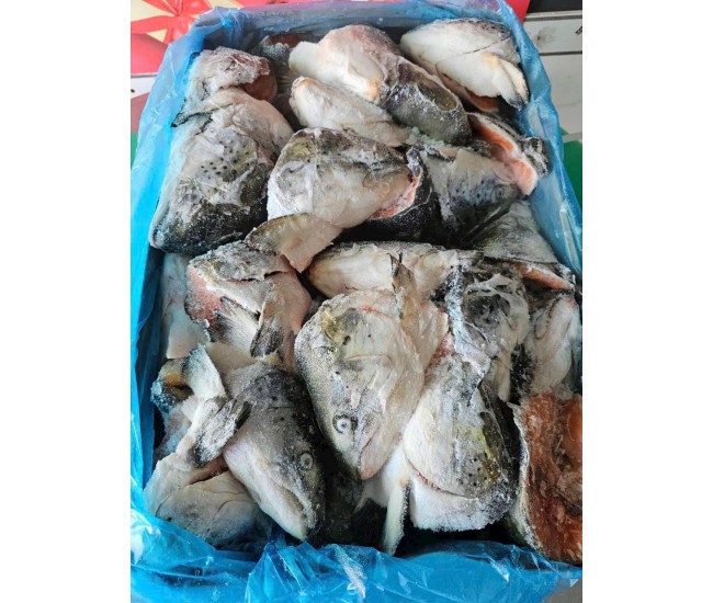 Đầu cá hồi