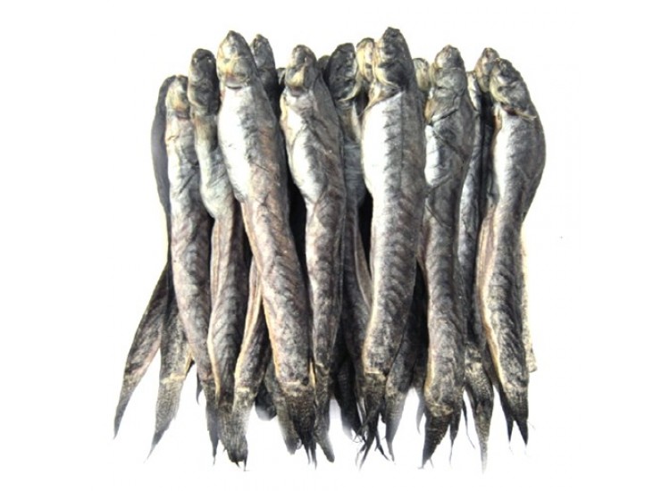 Tin tức