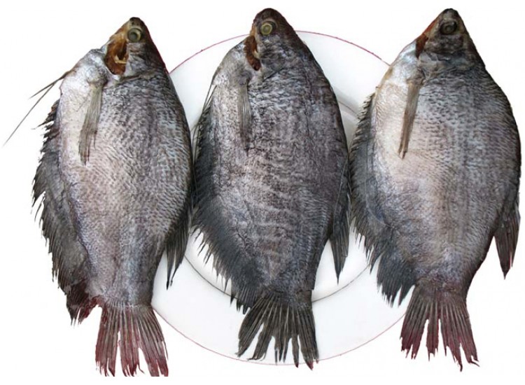 khô cá sặc bổi
